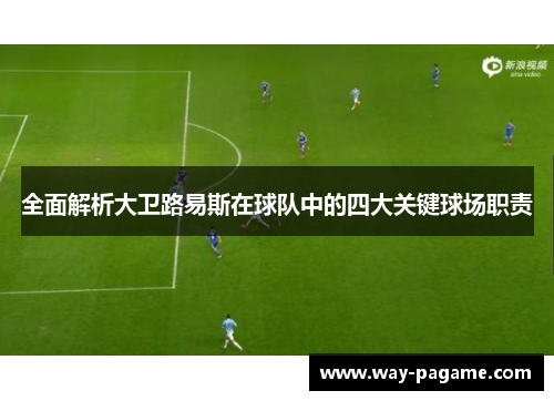 全面解析大卫路易斯在球队中的四大关键球场职责