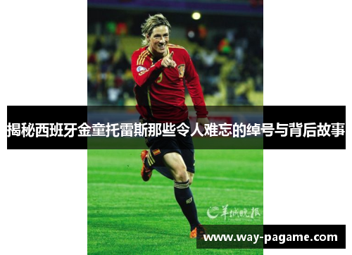 揭秘西班牙金童托雷斯那些令人难忘的绰号与背后故事