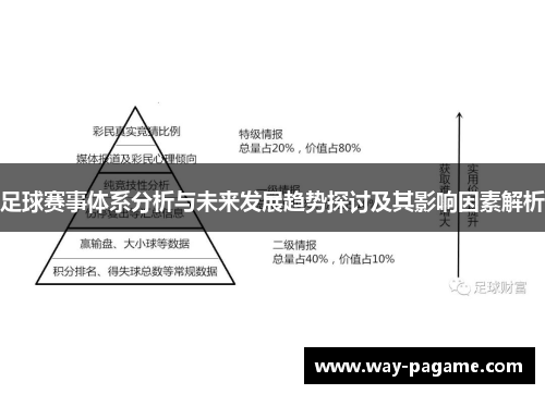 足球赛事体系分析与未来发展趋势探讨及其影响因素解析