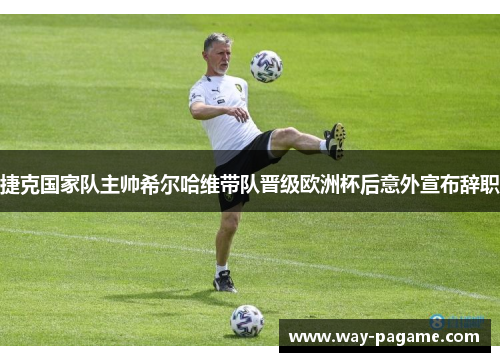 捷克国家队主帅希尔哈维带队晋级欧洲杯后意外宣布辞职 捷克国家队主帅希尔哈维带队晋级欧洲杯后意外宣布辞职