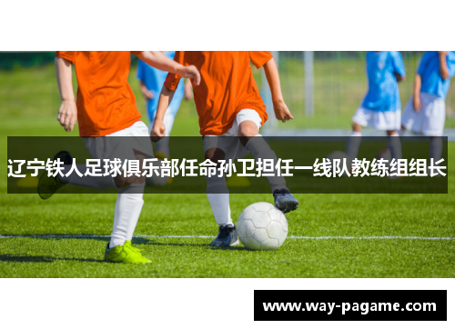 辽宁铁人足球俱乐部任命孙卫担任一线队教练组组长