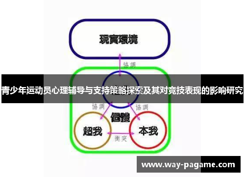 青少年运动员心理辅导与支持策略探索及其对竞技表现的影响研究