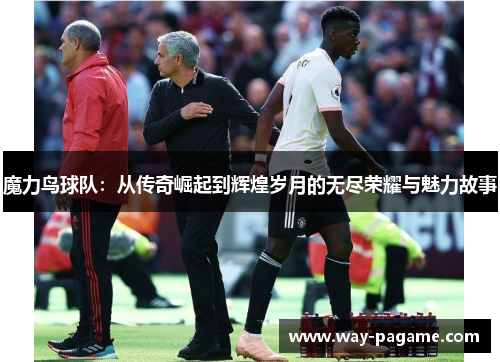 魔力鸟球队：从传奇崛起到辉煌岁月的无尽荣耀与魅力故事