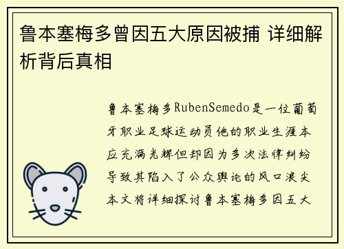 鲁本塞梅多曾因五大原因被捕 详细解析背后真相