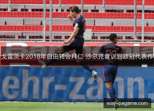 戈雷茨卡2018年自由转会拜仁 沙尔克青训到欧冠代表作 戈雷茨卡2018年自由转会拜仁 沙尔克青训到欧冠代表作